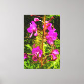 Alaskan Fireweed Pink Wildflower Abstract Canvas Afdruk (Voorkant)