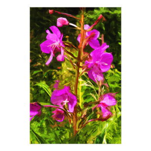 Alaskan Fireweed Pink Wildflower Abstract Foto Afdruk
