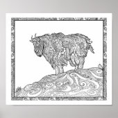 Alaskan-gebergte Poster (Voorkant)