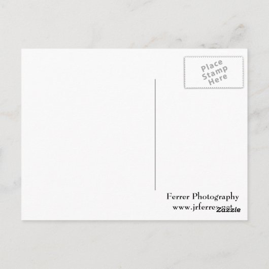 Alaskan Glacier Briefkaart (Achterkant)