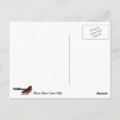 Alaskan Glacier-Carved Valley Briefkaart (Achterkant)