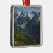 Alaskan Glacier-Carved Valley Metalen Ornament (Rechts)