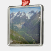 Alaskan Glacier-Carved Valley Metalen Ornament (Links)