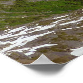 Alaskan Glacier-Carved Valley Poster (Hoek)