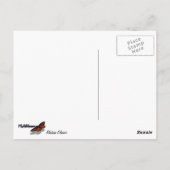 Alaskan Glacier Schilderachtig Reislandschap Briefkaart (Achterkant)