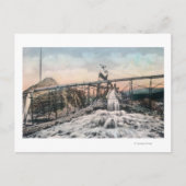 Alaskan Gold Mining Operation Sluice Box Briefkaart (Voorkant)