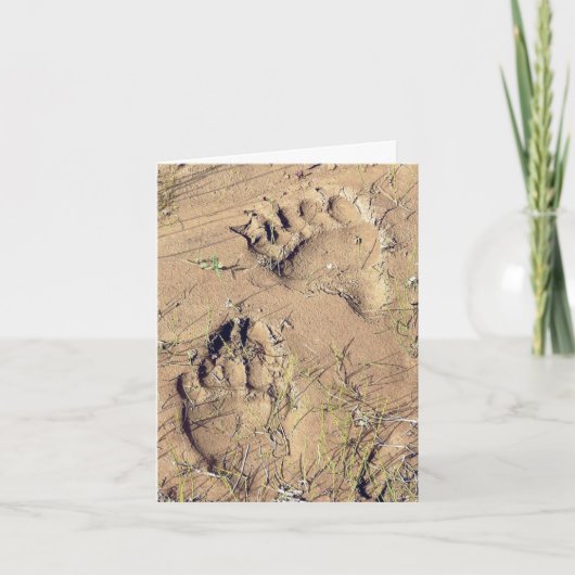 Alaskan Grizz Tracks - 4" x 5.6" Notecard Feestdagen Kaart (Voorkant)