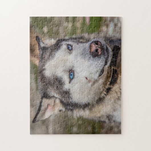 Alaskan Huskey Dog. Legpuzzel (Verticaal)