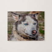 Alaskan Huskey Legpuzzel (Horizontaal)