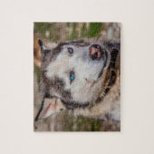 Alaskan Huskey Legpuzzel (Verticaal)