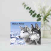 Alaskan Huskies Briefkaart (Staand voorkant)
