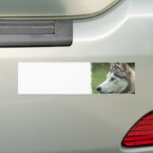 Alaskan Husky Bumpersticker (Op auto)