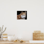 Alaskan Husky Dog Poster (Keuken)