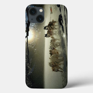 Alaskan Husky Dog Sled Race iPhone 13 Hoesje
