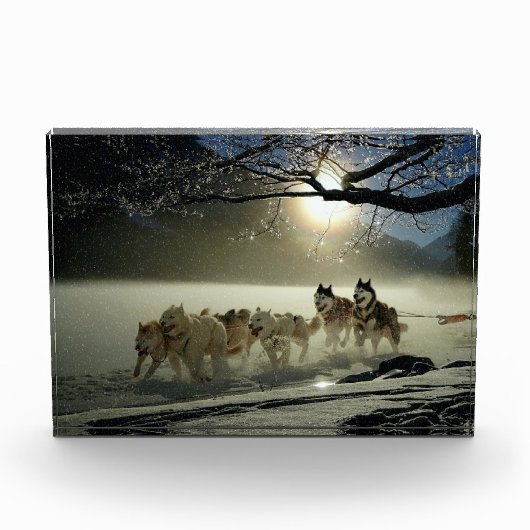 Alaskan Husky Dog Sled Race Fotoblokken (Voorkant)