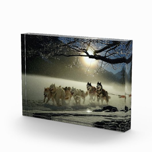 Alaskan Husky Dog Sled Race Fotoblokken (Rechts)