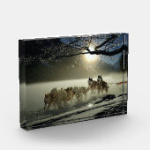 Alaskan Husky Dog Sled Race Fotoblokken (Links)