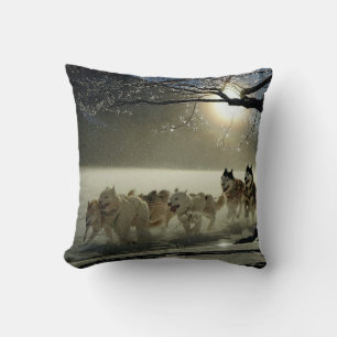 Alaskan Husky Dog Sled Race Kussen