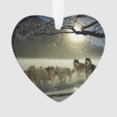 Alaskan Husky Dog Sled Race Ornament (voorkant)
