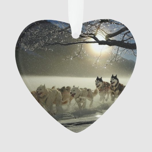 Alaskan Husky Dog Sled Race Ornament (voorkant)