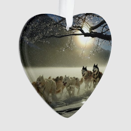 Alaskan Husky Dog Sled Race Ornament (voorkant)