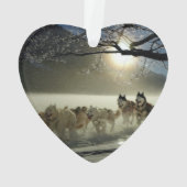 Alaskan Husky Dog Sled Race Ornament (achterkant)