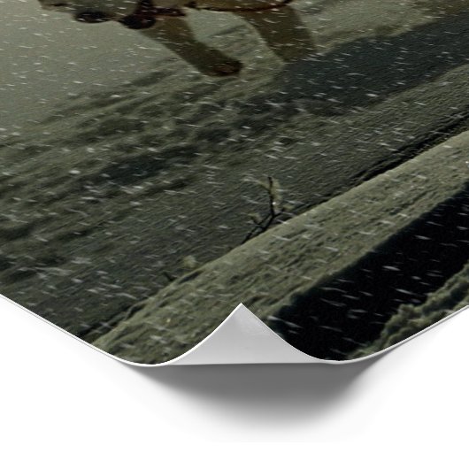 Alaskan Husky Dog Sled Race Poster (Hoek)