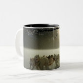 Alaskan Husky Dog Sled Race Tweekleurige Koffiemok (Voorkant links)