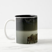 Alaskan Husky Dog Sled Race Tweekleurige Koffiemok (Links)