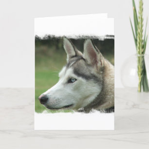Alaskan Husky-Wenskaart Kaart