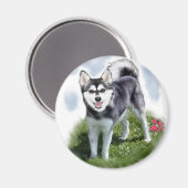 Alaskan Klee Kai Art Magneet (Voorkant / Achterkant)