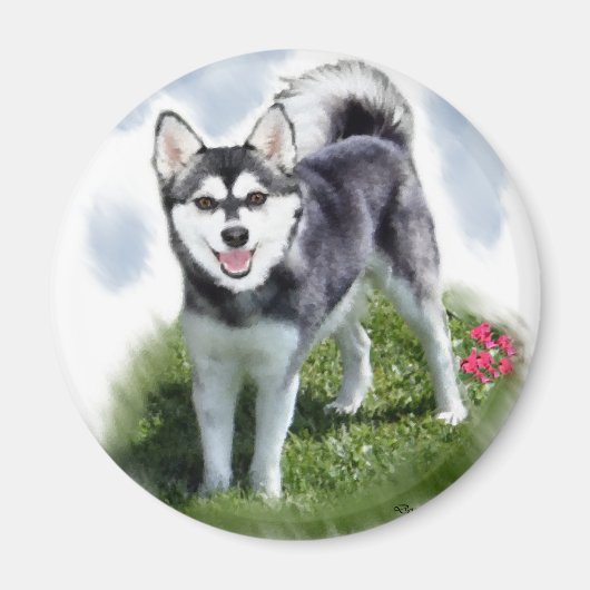 Alaskan Klee Kai Art Magneet (Voorkant)