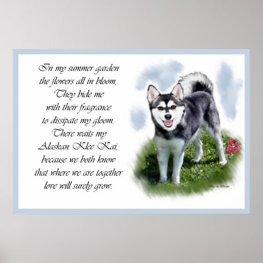 Alaskan Klee Kai Art Poster (Voorkant)