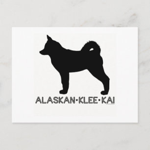 Alaskan Klee Kai Briefkaart