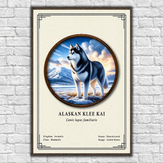 Alaskan Klee Kai Dierkunde Serie Poster