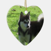 Alaskan Klee Kai Dog Keramisch Ornament (Rechts)