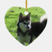 Alaskan Klee Kai Dog Keramisch Ornament (Voorkant)