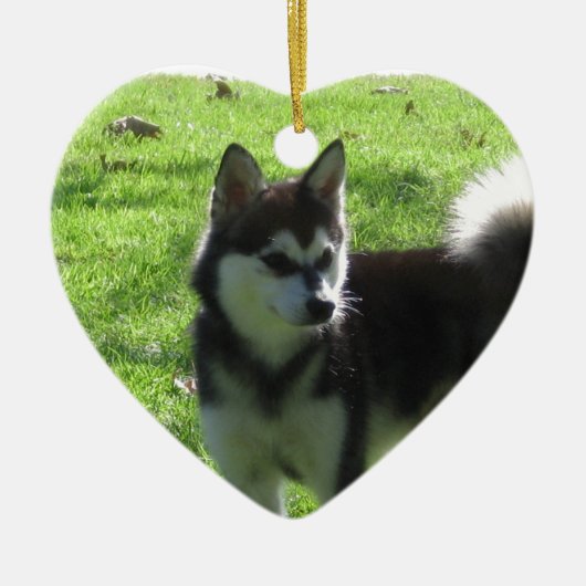 Alaskan Klee Kai Dog Keramisch Ornament (Voorkant)