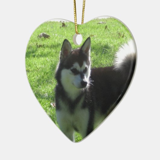 Alaskan Klee Kai Dog Keramisch Ornament (Links)