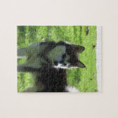 Alaskan Klee Kai Dog Legpuzzel (Horizontaal)