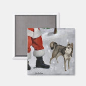 Alaskan Klee Kai kerstcadeaus Magneet (Voorkant / Achterkant)