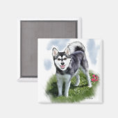 Alaskan Klee Kai Kunst Magneet (Voorkant / Achterkant)