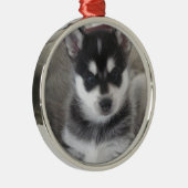 Alaskan Klee Kai Puppy Dog Metalen Ornament (Rechts)