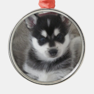 Alaskan Klee Kai Puppy Dog Metalen Ornament