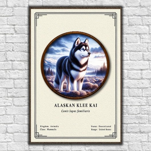 Alaskan Klee Kai Zoölogie Serie Poster