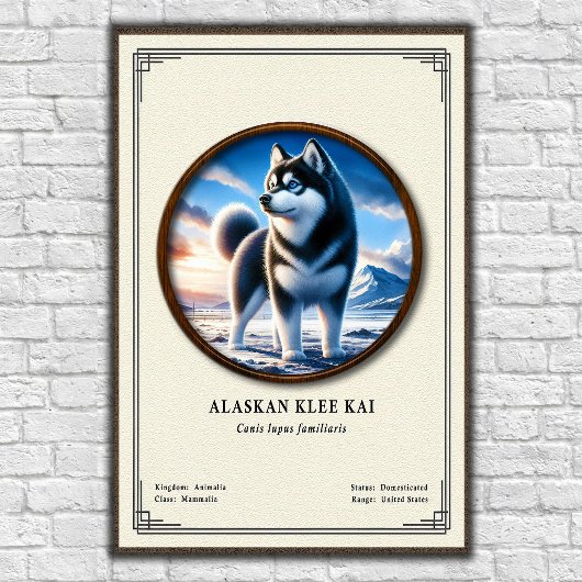 Alaskan Klee Kai Zoölogie Serie Poster