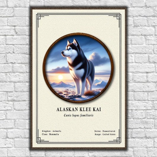 Alaskan Klee Kai Zoölogie Serie Poster