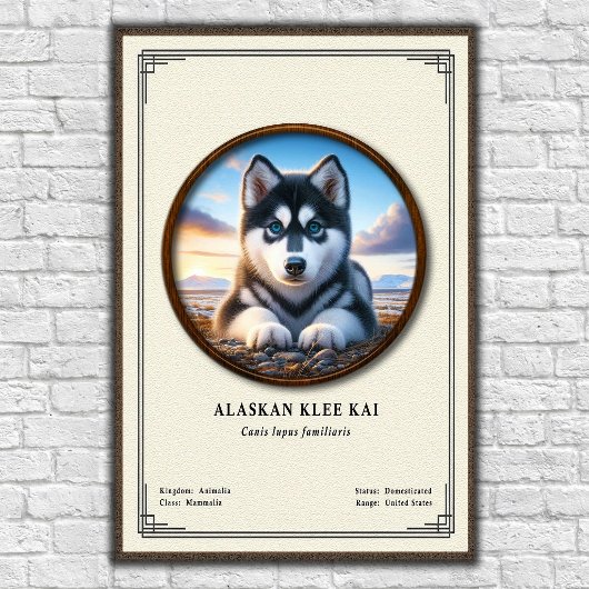 Alaskan Klee Kai Zoölogie Serie Poster