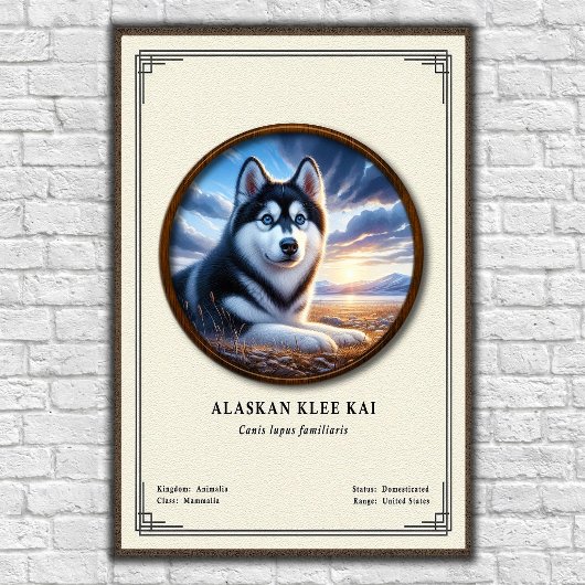 Alaskan Klee Kai Zoölogie Serie Poster