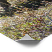 Alaskan Koe Moose met Calf Poster (Hoek)